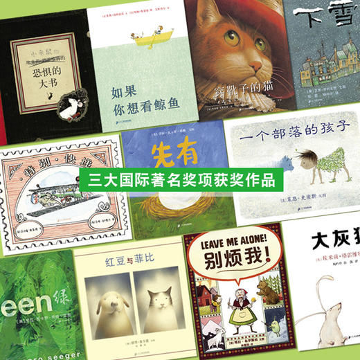 《国际大奖图画书》全11册 商品图5