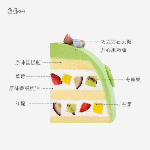 恐龙乐园，可选1.5/2.5/4磅 商品图3