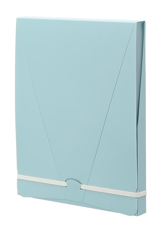 PILOT+LIHIT LAB/文件收纳/远程办公/便携/立式文件盒/ 商品图1