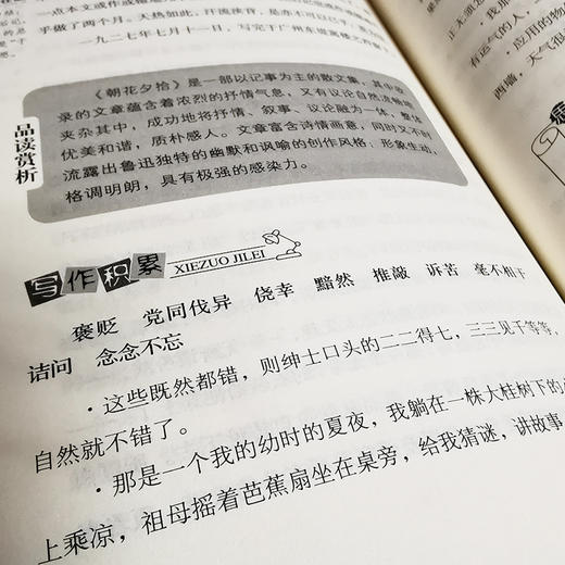 (仓发) 朝花夕拾/四川辞书出版社/鲁迅，陶诗雯/9787557906795 商品图9