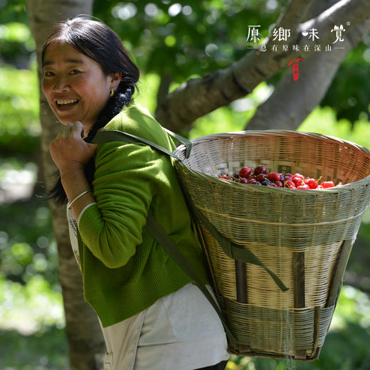 小金生态车厘子（基地直发-顺丰包邮） | 来自川西小金，生产者：牧云坡可信小组【合作生产，公平贸易】 商品图8