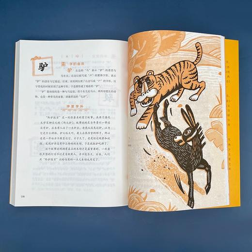 (仓发) 远方的家/少儿说文解字/接力出版社/张一清，富丽，陈菲/9787544873239 商品图3