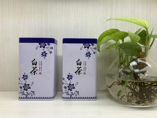 1.8元/个  内扣罐加高50克/一件200个 商品图0