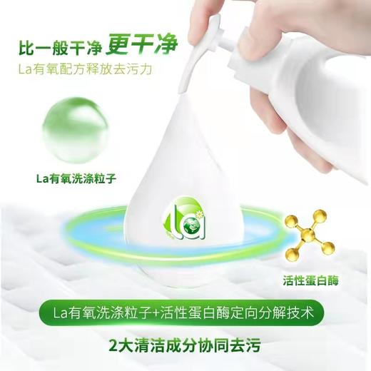 威露士除菌内衣净洗衣液 300g 商品图2
