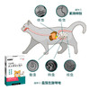 【6月19号秒杀活动】巴士宠新品 肠虫清内驱打虫 12片盒装 去绦虫蛔虫线虫等 广谱驱虫 见效快  犬猫通用 商品缩略图7
