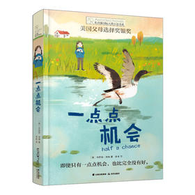 一点点机会 长青藤国际大奖小说书系 美国父母选择奖银奖 儿童文学9-10-12-14岁少儿读物 三四五六年级小学生课外阅读书籍
