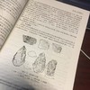 中国考古通论 商品缩略图3