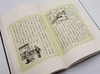 《儿童杂事诗笺释》，周作人诗，丰子恺画，钟叔河笺注，岳麓书社2005年版，16开本，定价39.8，售价26元。非偏远地区包邮 商品缩略图10