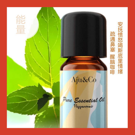 爱玑·薄荷精油 peppermint oil  【单方能量精油】 商品图0