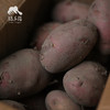 生态红皮土豆(云南) | 合作生产*Eco-carrot | Coproduction 商品缩略图4