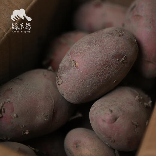 生态红皮土豆(云南) | 合作生产*Eco-carrot | Coproduction 商品图4