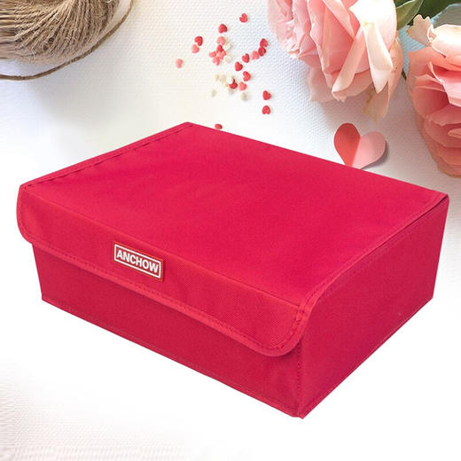 安巢家居 内衣收纳盒 6格收纳盒 AJ288 商品图1