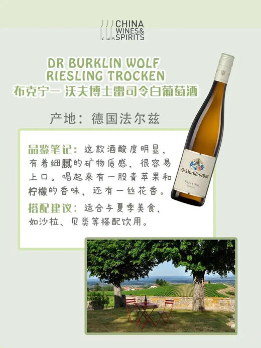 【雷司令】Dr Burklin Wolf Riesling Trocken 布克宁-沃夫博士雷司令白葡萄酒 商品图3