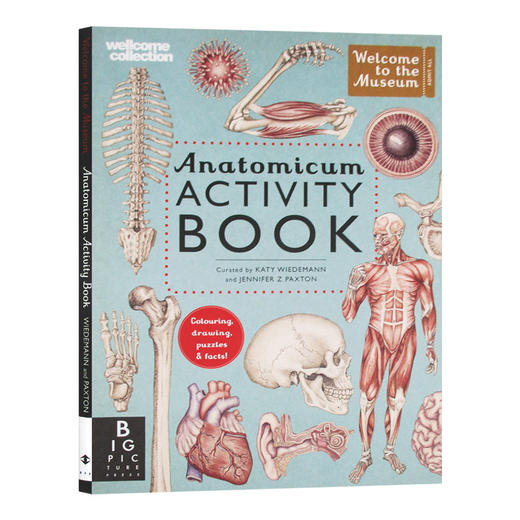 欢迎来到博物馆系列 解剖馆活动书 英文原版 Anatomicum Activity Book Welcome To The Museum 人体 英文版进口英语科普读物书籍 商品图0
