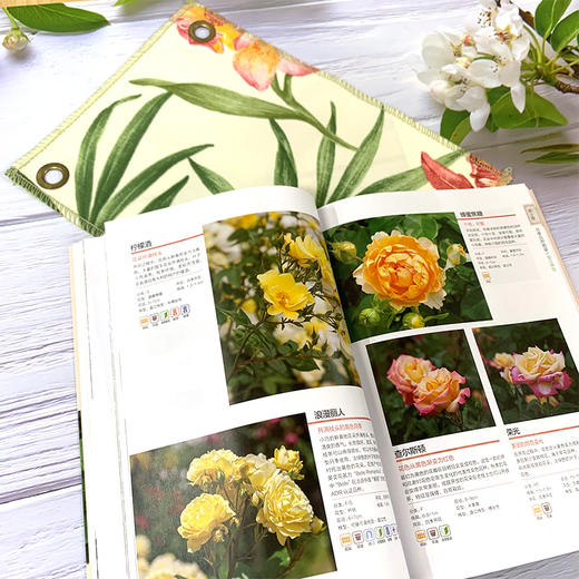 从零开始打造月季花园 新手月季栽培完全手册 品种选择 栽培养护 病虫害防治·庭院搭配 全套2册 商品图2