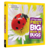 美国国家地理儿童科普百科书 英文原版 National Geographic Little Kids First Big Book of Bugs 虫子系列 英文版英语科普读物 商品缩略图4