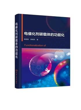 电催化剂碳载体的功能化 催化材料燃料电池研发书 低温燃料电池碳载体功能化处理功能化作用 低温燃料电池碳载体的功能化进展书籍