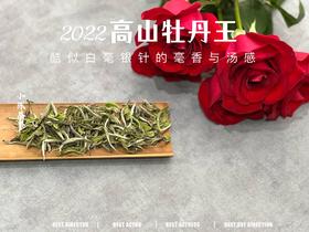 2022牡丹王，长在了银针的毫香和稠汤上，毫香清新而花香怡人（一斤收藏装）