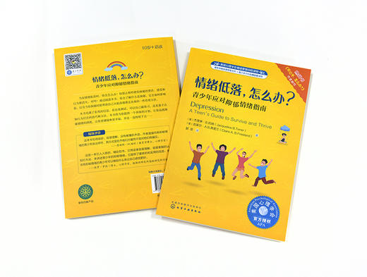 儿童情绪管理系列 情绪低落 怎么办 美国心理学会情绪管理自助读物 青少年应对抑郁情绪指南 儿园大班情商故事书中小班读物宝宝书 商品图2