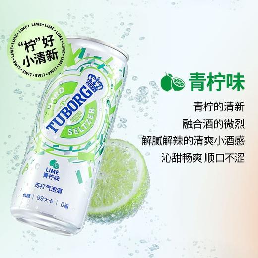 乐堡苏打气泡酒混合味包装330ml*6罐（白桃2+芒果百香果2+青柠2） 商品图1