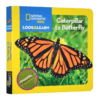 国家地理看与学系列 毛虫到蝴蝶 英文原版 National Geographic Kids Look and Learn Caterpillar to Butterfly儿童英语百科 商品缩略图1