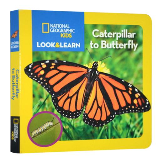 国家地理看与学系列 毛虫到蝴蝶 英文原版 National Geographic Kids Look and Learn Caterpillar to Butterfly儿童英语百科 商品图1