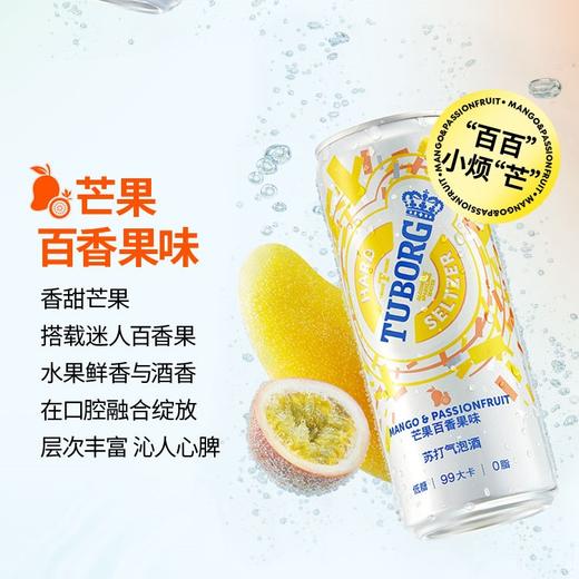 乐堡苏打气泡酒混合味包装330ml*6罐（白桃2+芒果百香果2+青柠2） 商品图3