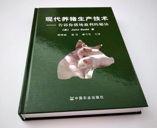 现代养猪生产技术 商品图2