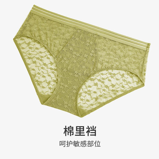 HSIA遐蕾丝平角裤女夏季性感透气镂空腰头小裤两条装纯棉裆底内裤 商品图4