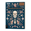 欢迎来到博物馆系列 解剖馆 英文原版 Anatomicum Welcome To The Museum 精装大开本 青少年英语科普入门读物 英文版进口书籍 商品缩略图1