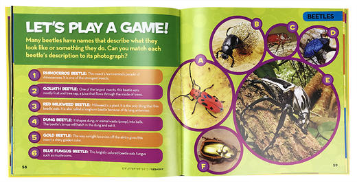 美国国家地理儿童科普百科书 英文原版 National Geographic Little Kids First Big Book of Bugs 虫子系列 英文版英语科普读物 商品图1