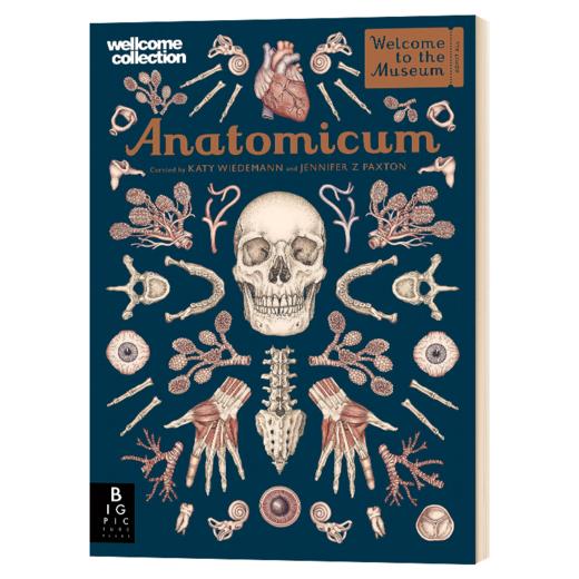 欢迎来到博物馆系列 解剖馆 英文原版 Anatomicum Welcome To The Museum 精装大开本 青少年英语科普入门读物 英文版进口书籍 商品图2