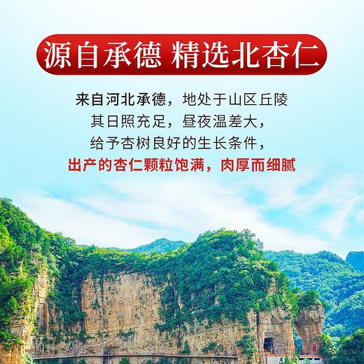 庄民 北杏仁 生苦杏仁片 大颗粒 粒粒精选无碎好货 饱满200g/罐 商品图5