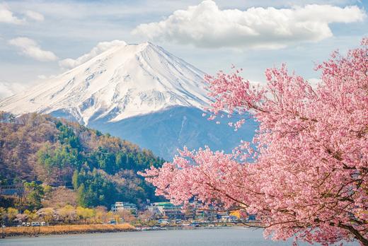 【北京领区】日本签证暑期特惠，一手送签，出签率高，出签快 商品图2