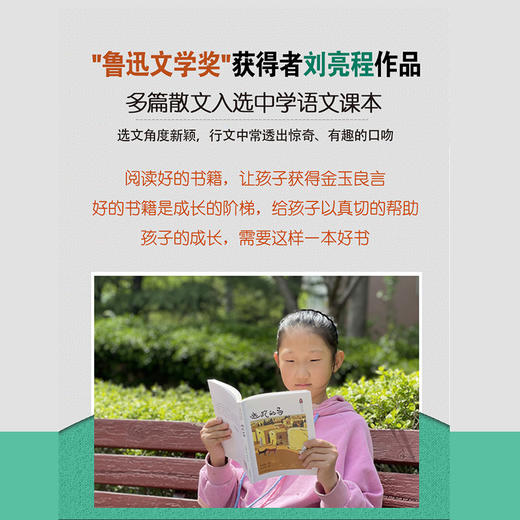 逃跑的马 刘亮程童年与故乡系列 商品图2