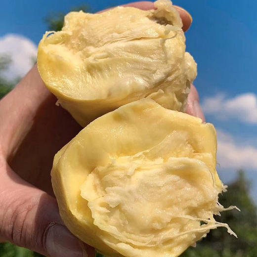 泰国金枕榴莲   冰淇淋口感 个头饱满   香甜软糯   果肉肥厚   肉质金黄  丝滑口感   一口就上瘾 商品图5