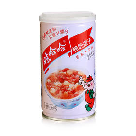 娃哈哈牌桂圆莲子八宝粥360g/罐