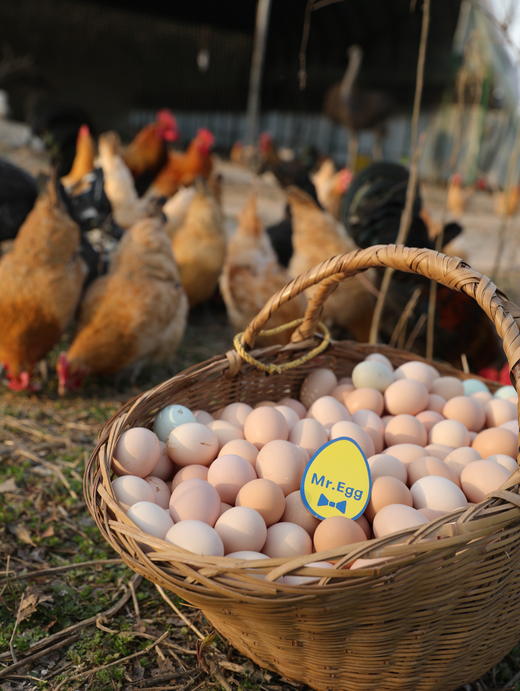 蛋鲜森牌可生食鸡蛋（12枚）480g/盒 商品图1