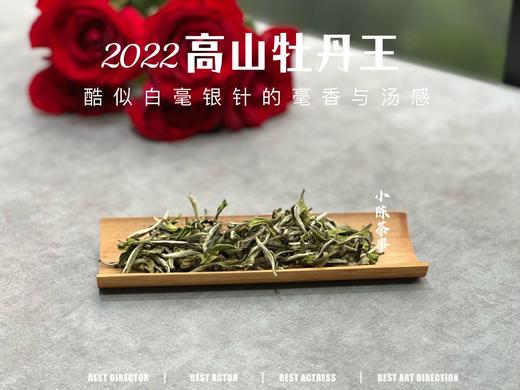 2022牡丹王，长在了银针的毫香和稠汤上，毫香清新而花香怡人（一斤收藏装） 商品图1