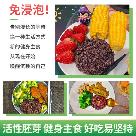 【东北七色糙米】、东北直发，五谷杂粮、糙米黑米红米燕麦荞麦粗粮、健身脂减- 商品图4