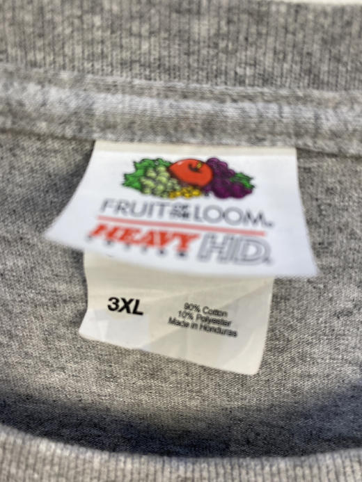 Y2K Vintage 
FRUIT OF THE LOOM 水果牌 短袖T恤 _PST(3XL) 商品图2