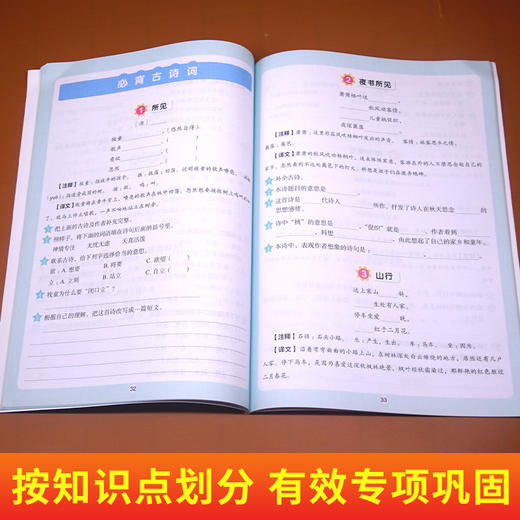 (仓发) 字词句训练+必背古诗词一年级上册语文 小帮手二合一训练小学1年级语文专项复习练习册/湖南教育出版社/开心教育研究中心/9787553975597 商品图5