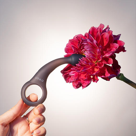 【UPKO】后庭玩具套装 商品图2