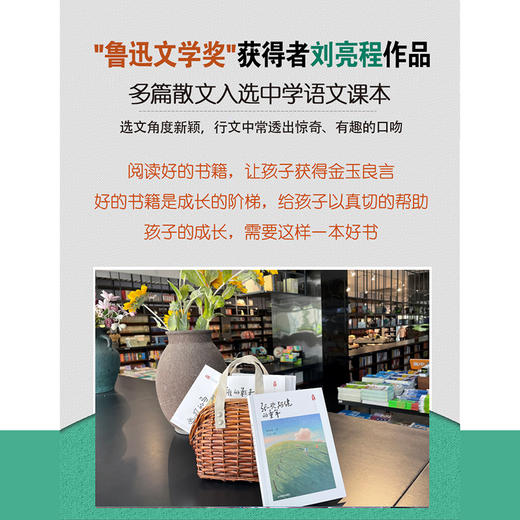 张欢阿健的童年 刘亮程童年与故乡系列 商品图2