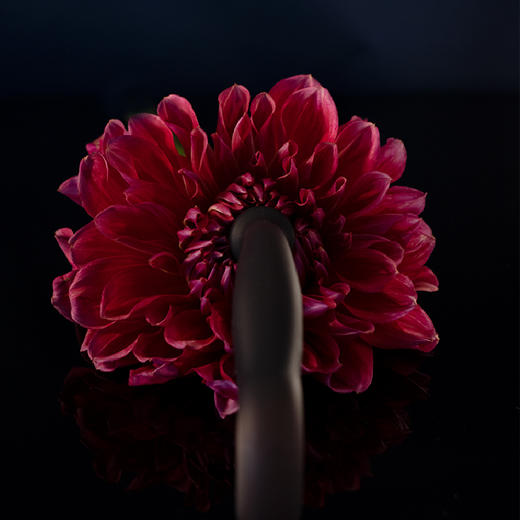 【UPKO】后庭玩具套装 商品图1