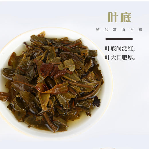 中粮-中茶2018年班盆高山古树普洱生茶357g/云南干仓直发 商品图2