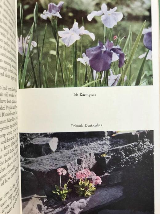 水景园林 5幅彩色22幅黑白插图 精装大32开 商品图6