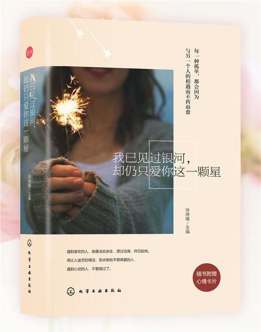 (仓发) 我已见过银河，却仍只爱你这一颗星（附心情卡片）/化学工业出版社/9787122256164 商品图2