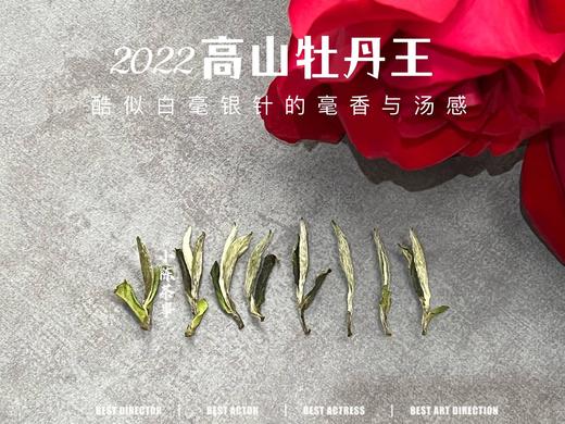 2022牡丹王，长在了银针的毫香和稠汤上，毫香清新而花香怡人（一斤收藏装） 商品图2