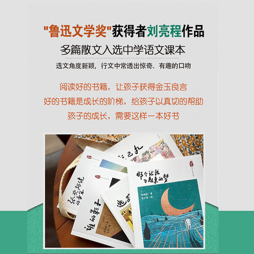 那个让我飞起来的梦 刘亮程童年与故乡系列 商品图2